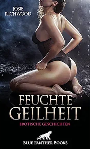 Feuchte Geilheit ein Buchcover mit einer Frau in Reizwäsche kniend am Boden